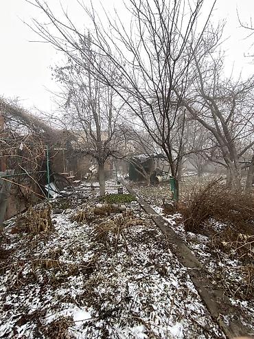 Продажа участков: 9 соток, Красная книга at lalafo.kg — 18 Продажа участков: 9 соток, Красная книга — 18