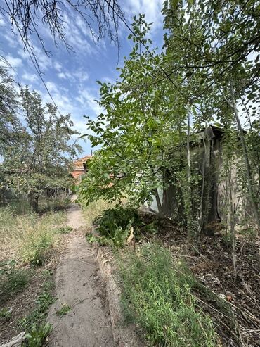 Продажа домов: Дом, 62 м², 5 комнат, Собственник, Косметический ремонт — 25