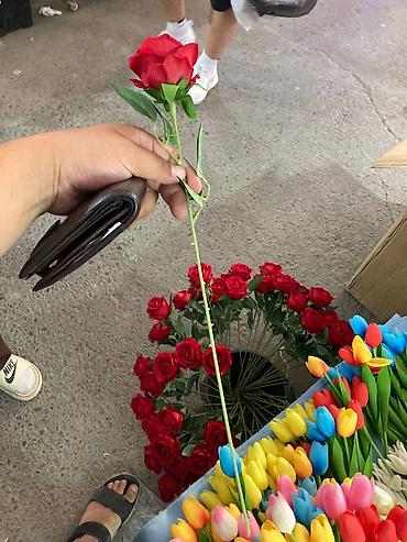фиалки бишкек: Декоративные Искусственные цветы есть оптом и в розницу,цены — 3