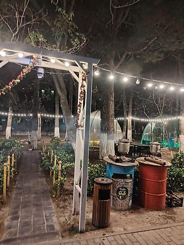 paulownia ağacı: Açıq havada yerləşən mobil kafe – Bella Coffee & Drinks Məhsul və — 10