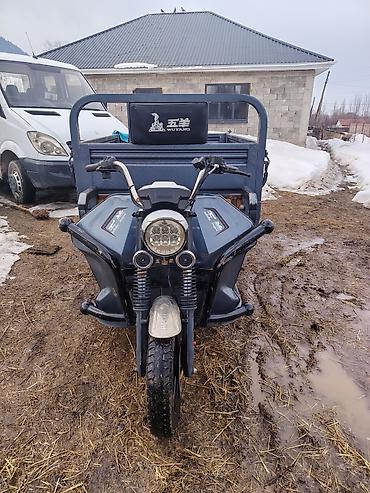 Легкий грузовой транспорт: Легкий грузовик — 2