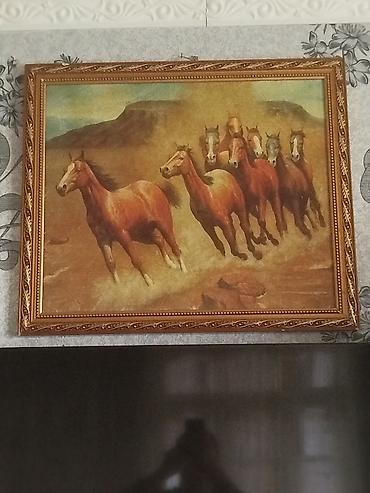 Tovuz quşları: Məhsul: Tovuzquşu (erkək) Təsvir: - Parlaq mavi boyun və döş, geniş — 5