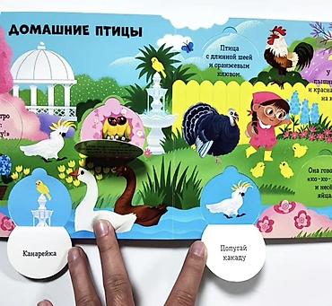 бассейн для рыбы: Новый Набор детских книг “Энциклопедия с окошками” от издательства — 4