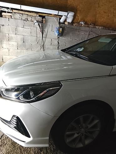полироль восковой: Полировка и детейлинг кузова автомобиля. Профессиональная — 4
