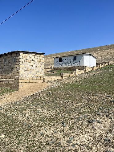nzs qesebesi: 4 sot, Tikinti, Maklerlər narahat etməsin, Kupça (Çıxarış) — 3