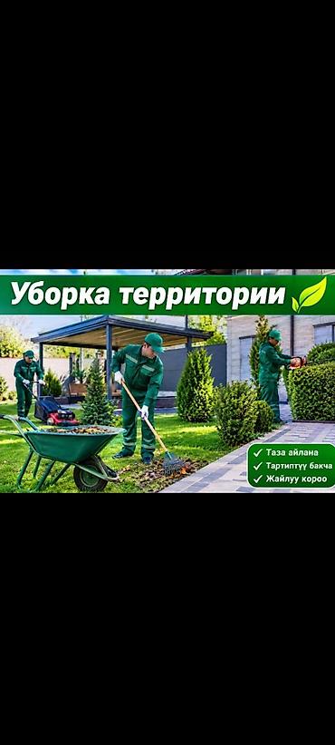 прополка: Уборка территории, Уборка двора и сада — 1