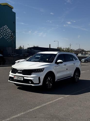 к8 киа цена: Kia Sorento: 2023 г., 1.6 л, Автомат, Гибрид, Кроссовер — 3