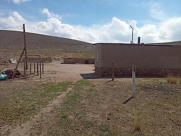 Продажа дач: Жакшы жер мал бакканга ылайыкту кызыл китеби бар жердикида уйдукуда — 5