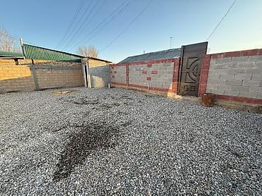 Ковры и паласы: Ковер — 17