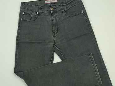 Trousers: Jeans for men, L (EU 40), condition - Ideal