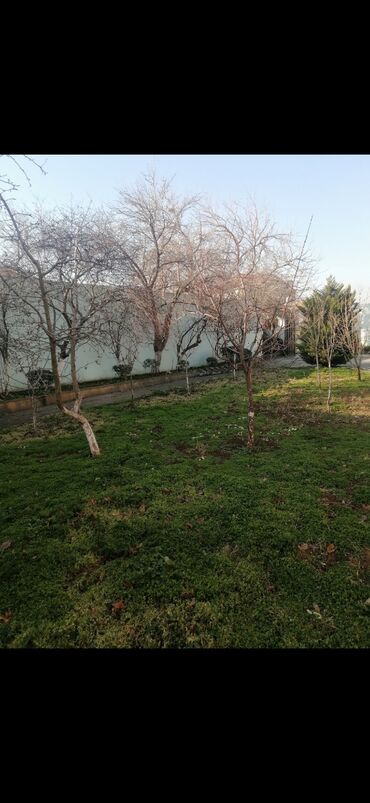 Bağbanlar: Bağban, 44 yaş, 5 ildən artıq təcrübə — 14