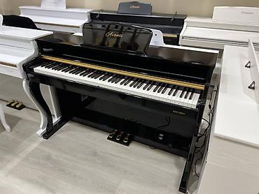 eheim: Piano, Greaten, Rəqəmsal, Yeni, Pulsuz çatdırılma — 4