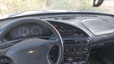 Chevrolet: Chevrolet Niva: 2009 г., Кроссовер — 6