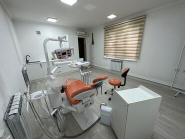 стоматолог бишкек цены: Стоматолог