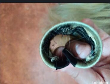 Perike i klipse: Prodajem prirodnu kosusniženu . na stanju ;perika prirodna — 16