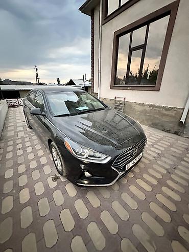 byd khan: Hyundai : 2019 г., Автомат, Бензин — 1