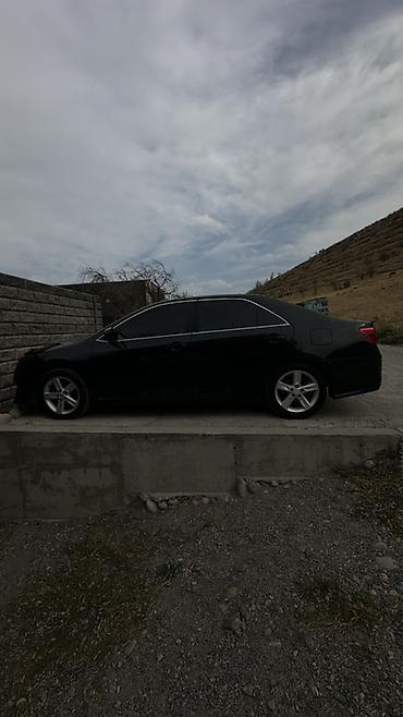 стеклопод: Toyota Camry: 2014 г., Седан — 5
