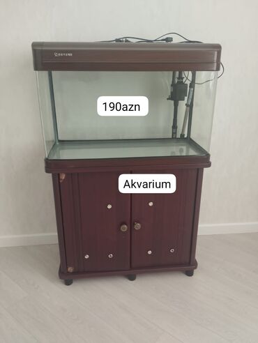 Akvariumlar: Akvarium-şkaf Akvarium, Boş, 130 l, Ödənişli çatdırılma