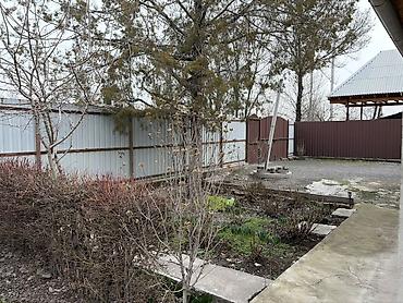 Продажа коттеджей и домов: Продается участок с домом и двором в селе Беловодское, огороженный — 5