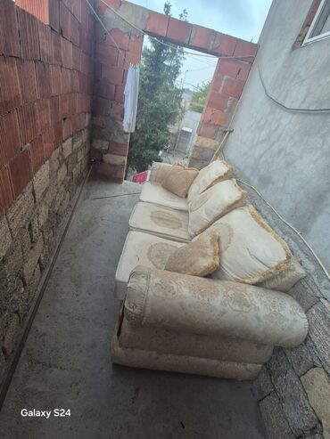 Otaq bitkiləri: Divan, İşlənmiş, Açılan, Bazasız, Parça