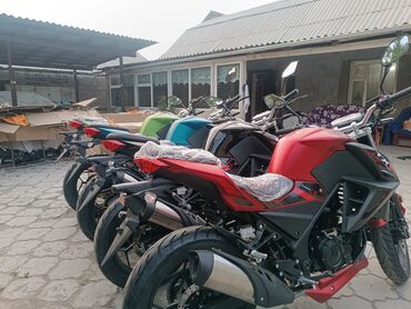 мотоцикл продаю: Спортбайк LIFAN, 250 куб. см, Бензин, Чоңдор үчүн, Жаңы