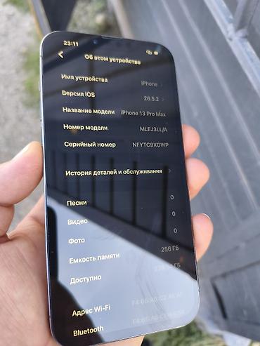 daf 75: IPhone 13 Pro Max, Б/у, 256 ГБ, Графит, Зарядное устройство, Защитное стекло, Чехол, 100 % — 2
