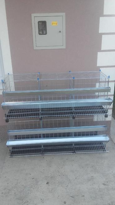 Domaće životinje: Prodaja pocinkovanih kaveza za koke, pilice i zeceve u kompletu sa — 12
