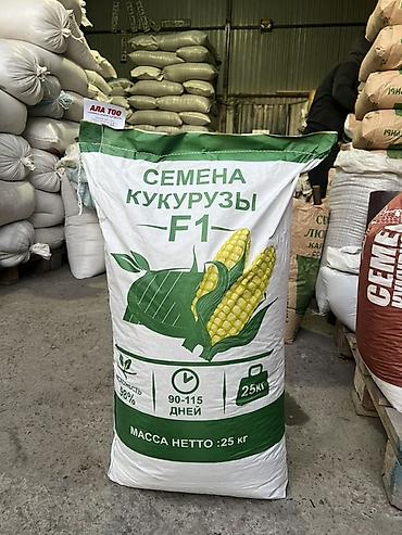 Кукуруза: Жугору Беде Семена: эспарцет, овёс (сулуу), ячмень (арпа), кукуруза — 3