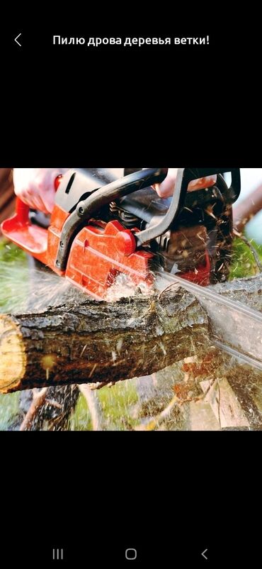 механическая пила: Пилю дрова ветки