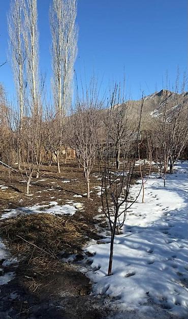 Продажа домов: Дом, 83 м², 4 комнаты — 4