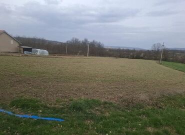 Prodaja zemljišta: 38 ares, Vlasnik — 3