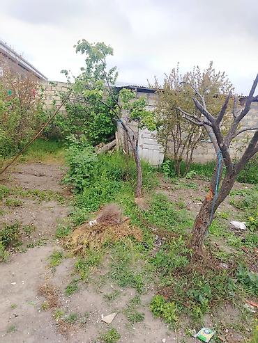 Torpaq sahələrinin satışı: Tikinti, Mülkiyyətçi, Bələdiyyə — 8