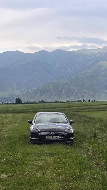 sonata: Hyundai Sonata: 2021 г., 2 л, Автомат, Гибрид, Седан — 8
