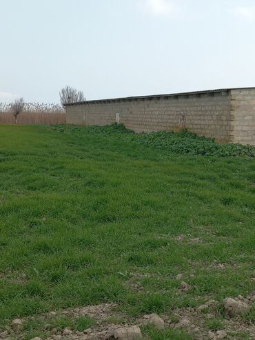 Torpaq sahələrinin satışı: Kənd təsərrüfatı — 14