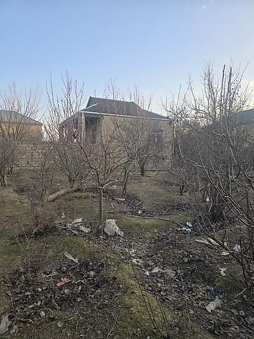 Torpaq sahələrinin satışı: 16 sot, Tikinti — 10