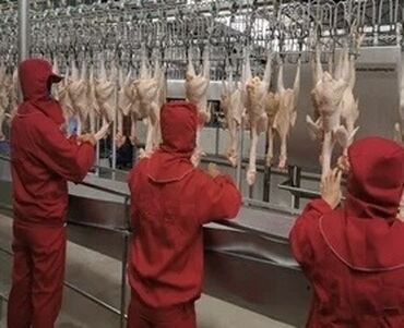 требуется парень продавец: Талап кылынат Таңгактоочу, Төлөм Бир айда эки жолу, Тажрыйбасыз