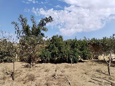 Həyət evləri və villaların satışı: 7 otaqlı, 156 kv. m, Təmirsiz — 23