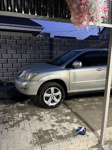 Lexus: Lexus RX: 2005 г., Кроссовер — 2