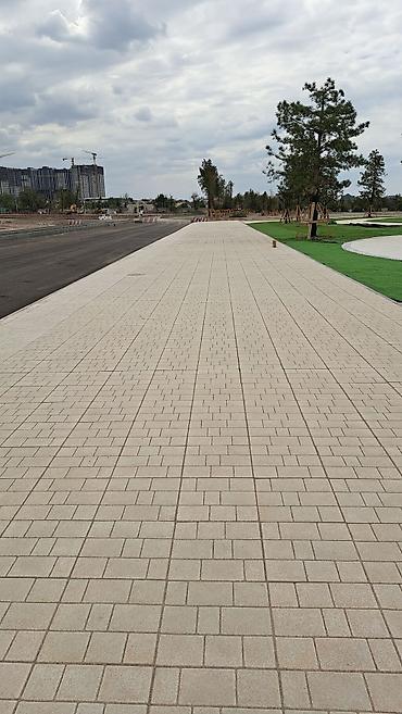 Тротуарная плитка: Тротуарная плитка, Другая модель, Бетонная, Для парковки, Новый — 10