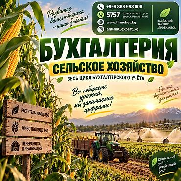 305: Бухгалтерские услуги | Подготовка налоговой отчетности, Работа в 1С, Юридическое сопровождение — 1