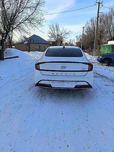 Hyundai: Hyundai Sonata: 2020 г., 2 л, Гибрид, Седан — 3