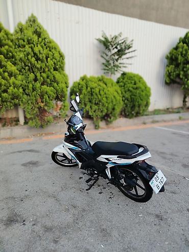 moped gunluk: Tufan - kub 50s, 80 sm3, 2024 il, 73500 km — 5