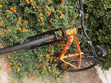 zigzag velosiped: Dağ velosipedi – JUST YOUR (MTB) - Rəng: parlaq narıncı, qara — 8