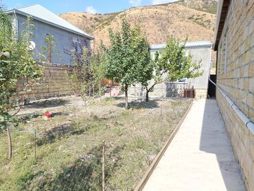 Həyət evləri və villaların satışı: Bağlı həyəti və meyvə ağacları olan fərdi yaşayış evi. - Həyətyanı — 2