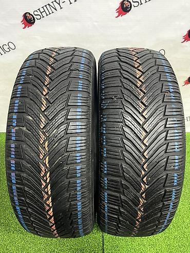e2: Шины 205 / 55 / R 16, Зима, Б/у, Пара, Легковые, Michelin — 1