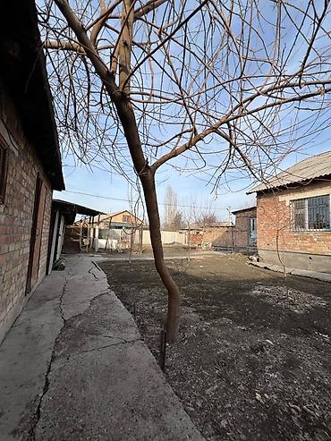 Односпальные кровати: 🏡 Продаётся дом с участком 8 соток 📍 Село Раздольное Продаётся уютный at lalafo.kg — 22 Односпальные кровати: 🏡 Продаётся дом с участком 8 соток 📍 Село Раздольное Продаётся уютный — 22