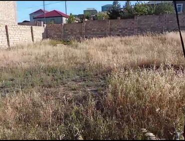 Torpaq sahələrinin satışı: 3 sot, Mülkiyyətçi, Kupça (Çıxarış) — 12