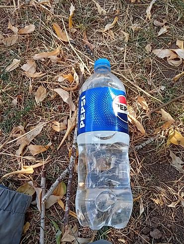 живой форел: Pepsi, бутылка ПЭТ 1 л - Классический бренд Pepsi в удобной — 1