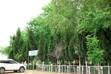 Kommersiya daşınmaz əmlakının satışı: Obyekt İstirahət Mərkəzi satılır 1 hektarda Hacıqabul İpək yolu — 2