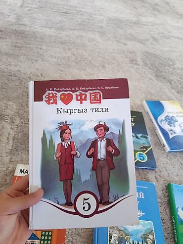 лекция 2: Набор школьных учебников (Кыргызстан) идеальное состояние учебников — 5